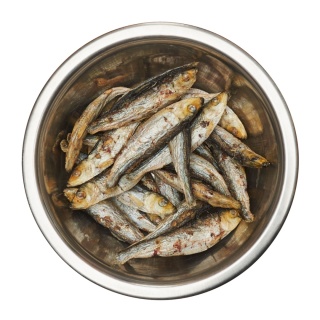 Best Barf liofilizowana szprotka 100 g