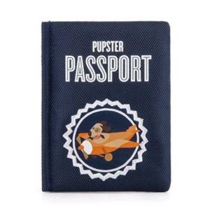 Zabawka PASZPORT Globetrotter