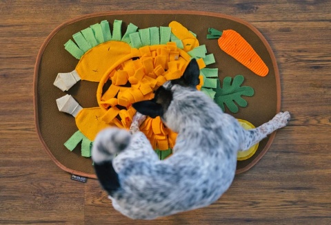 Mata węchowa KURCZĘ PIECZONE