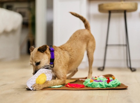 Mata węchowa PYSZNE ŚNIADANIE