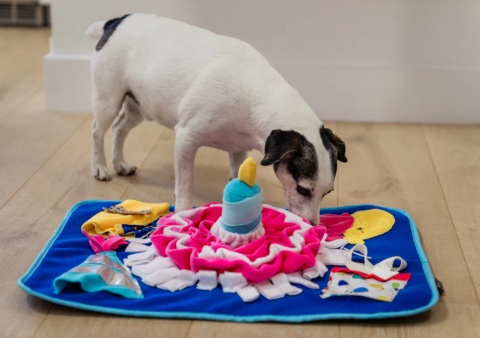 Mata węchowa URODZINOWA