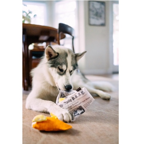 Zabawka FISCH&CHIPS International Classic