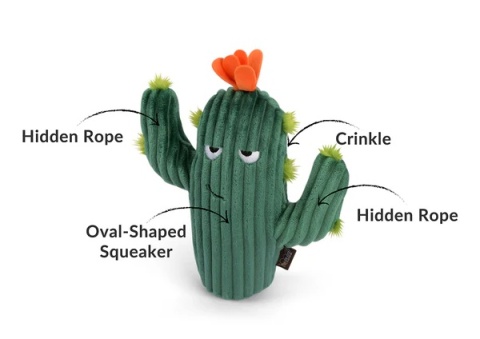 Zabawka KAKTUS Blooming Buddies