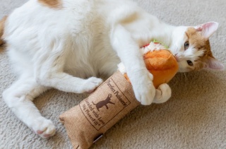 Zabawka KOPACZ BAGIETKA Z TUŃCZYKIEM Feline Frenzy