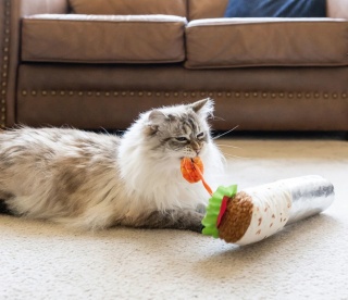 Zabawka KOPACZ BURRITO Z KREWETKAMI Feline Frenzy