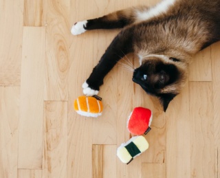 Zabawka SUSHI Feline Frenzy